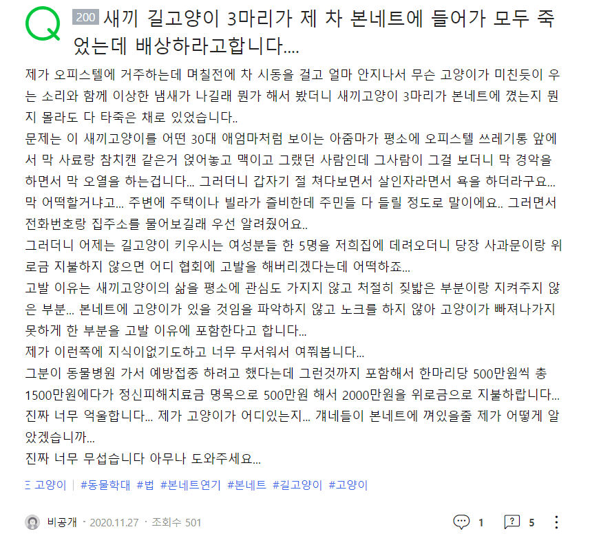 아기 고양이 죽인 썰.png