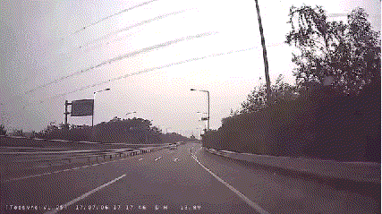 욕.gif