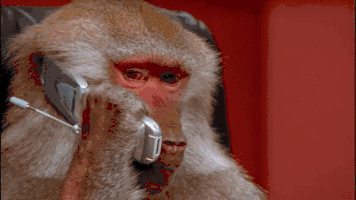 장인장모오는날.gif