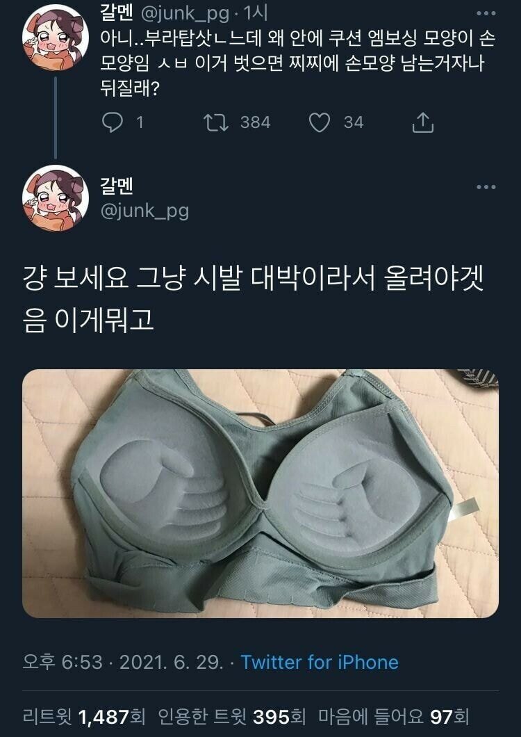 새로산 브라 때문에 개빡친 누나.jpg